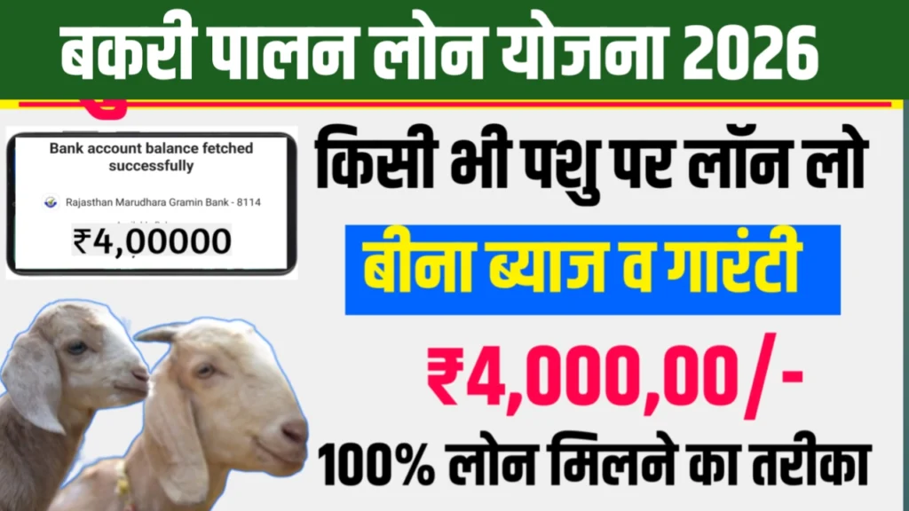 Bakri Palan Loan Yojana 2026