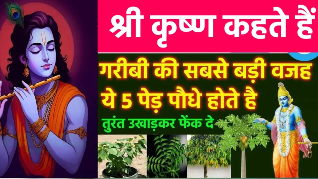 Vastu Tips Plants